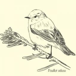 Illustration de : Expo La Durance